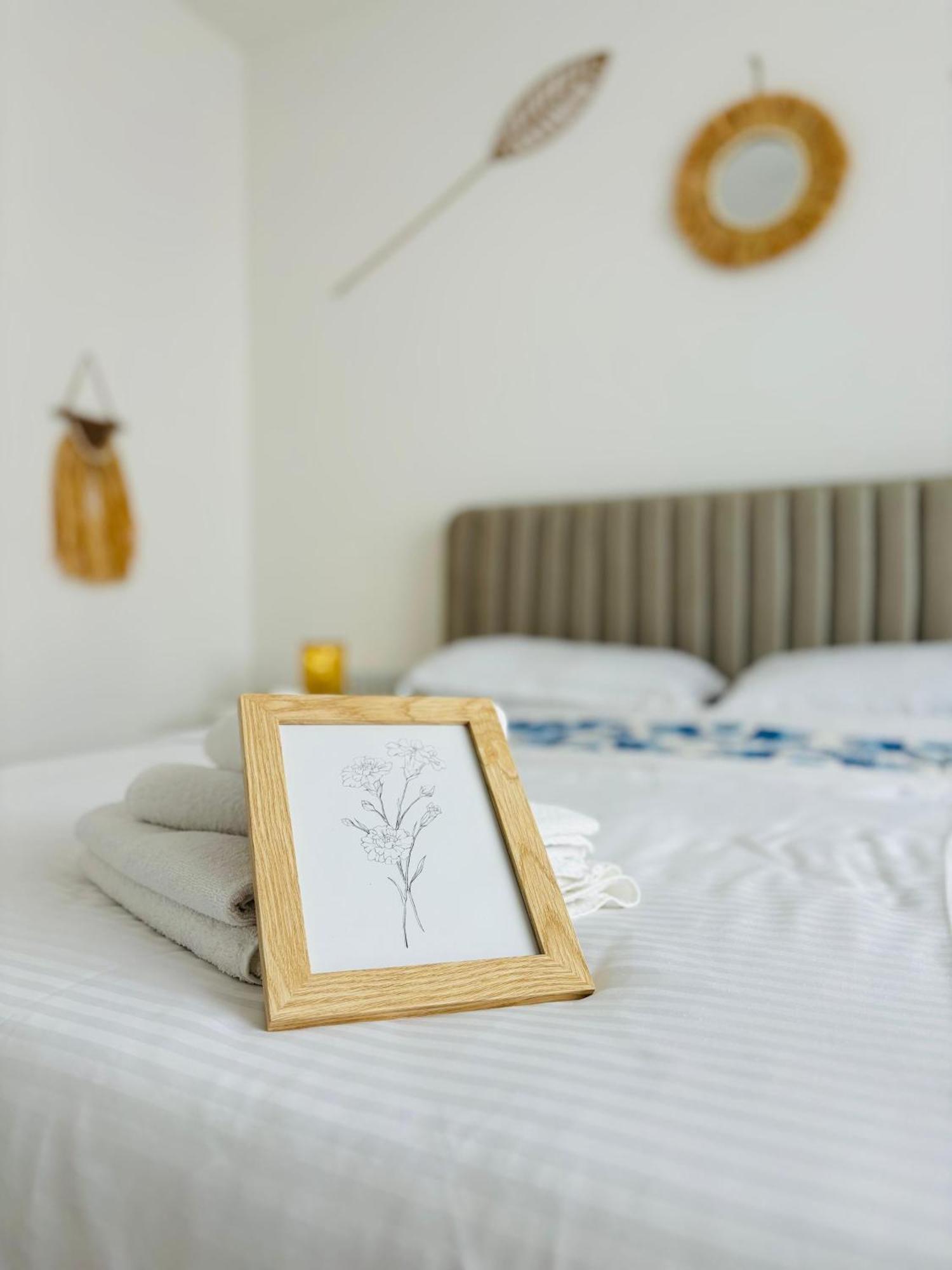 Amos Apartment-Ultracentral-Free Parking Cluj-Napoca Exteriör bild