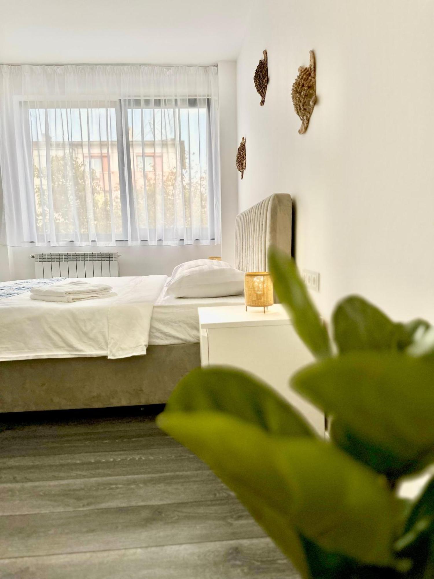 Amos Apartment-Ultracentral-Free Parking Cluj-Napoca Exteriör bild