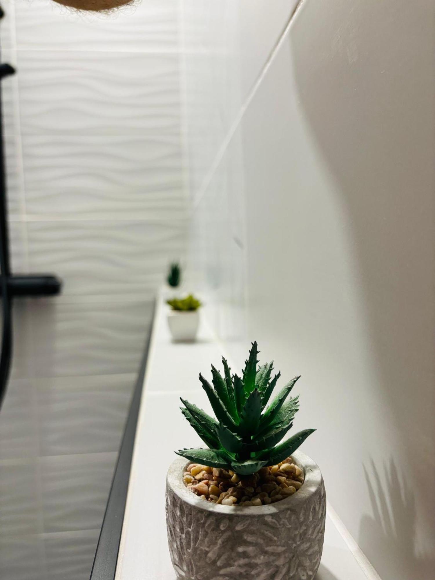 Amos Apartment-Ultracentral-Free Parking Cluj-Napoca Exteriör bild
